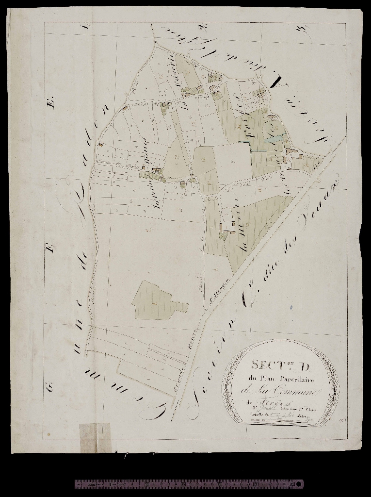 Section D