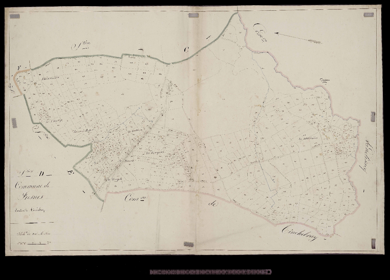Section D