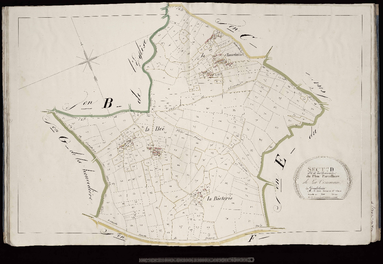 Section D