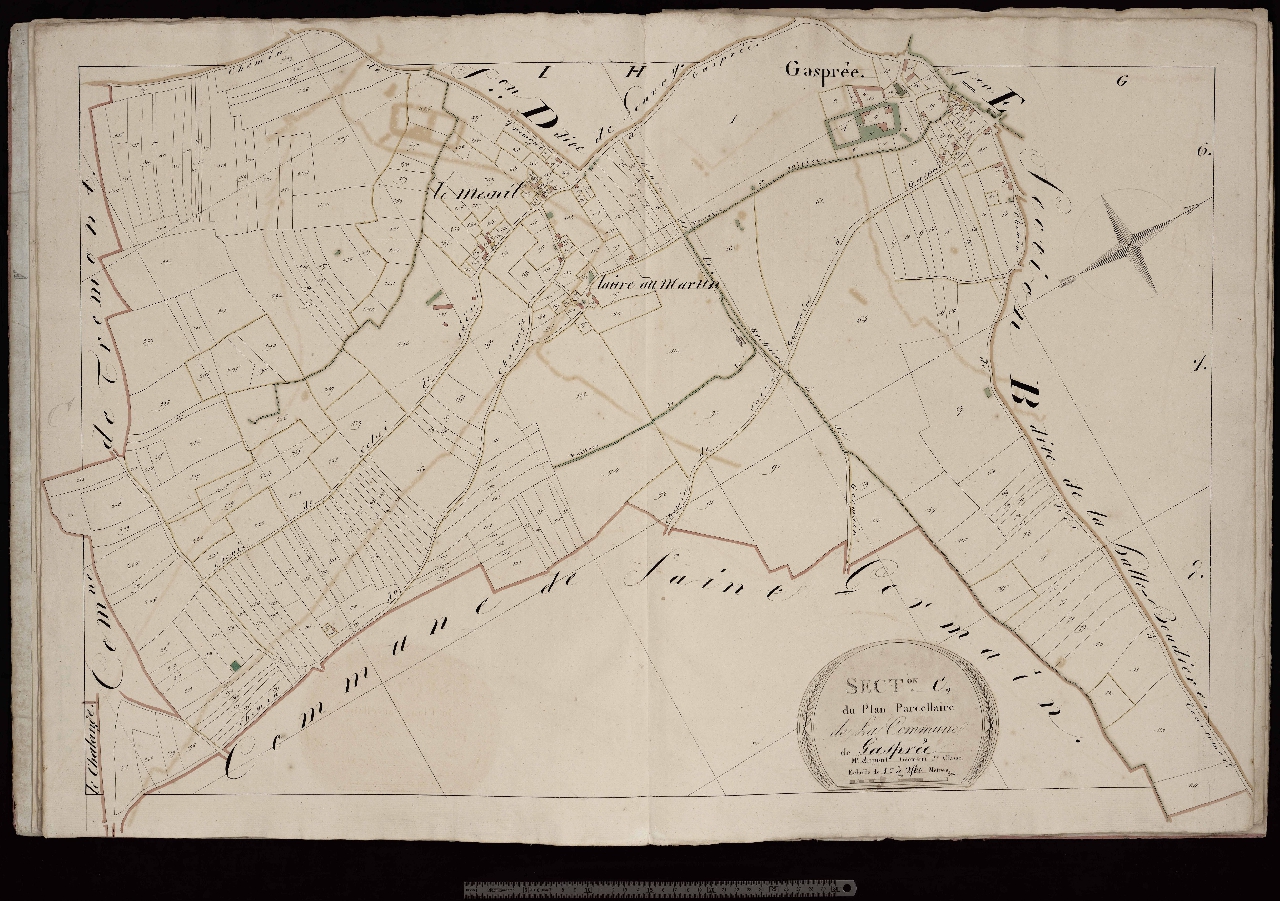 Section C