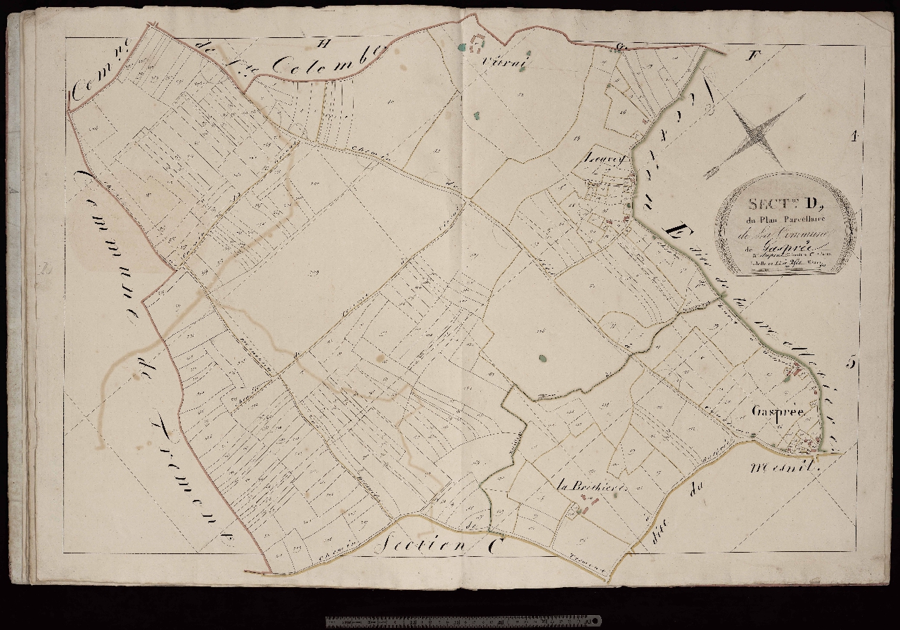 Section D