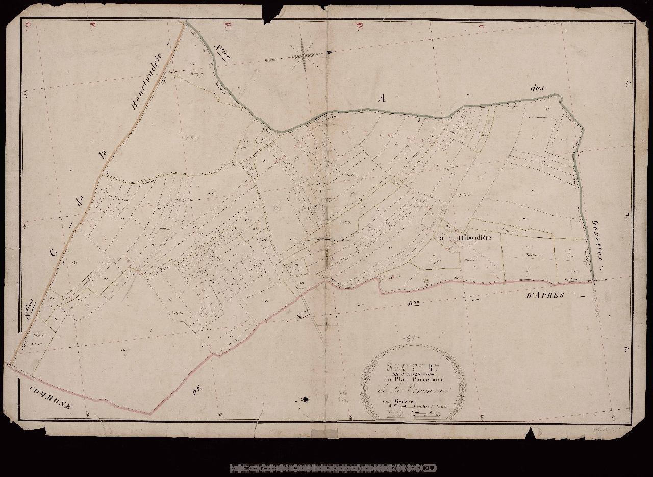 Section B