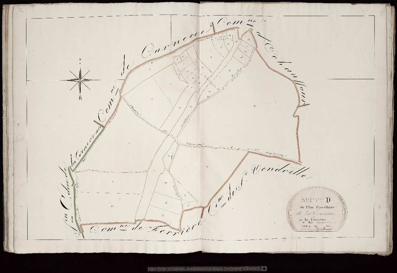 Section D