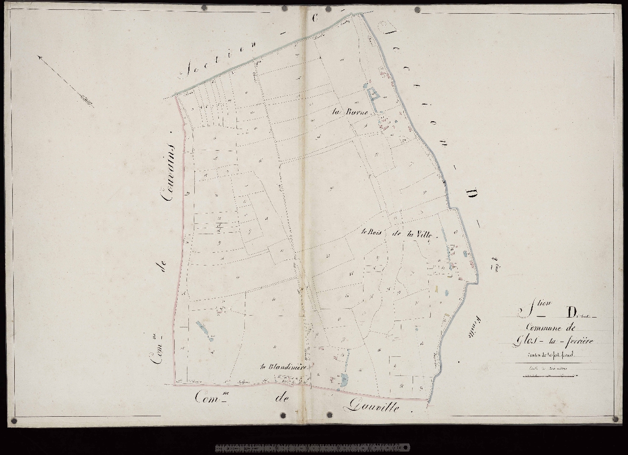 Section D1