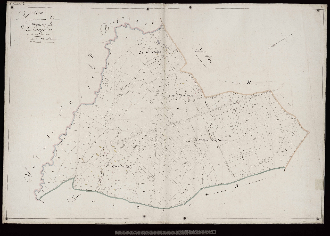 Section C
