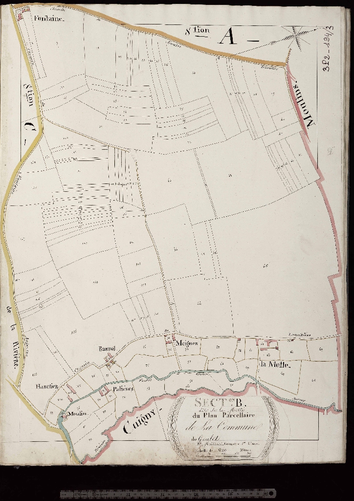 Section B