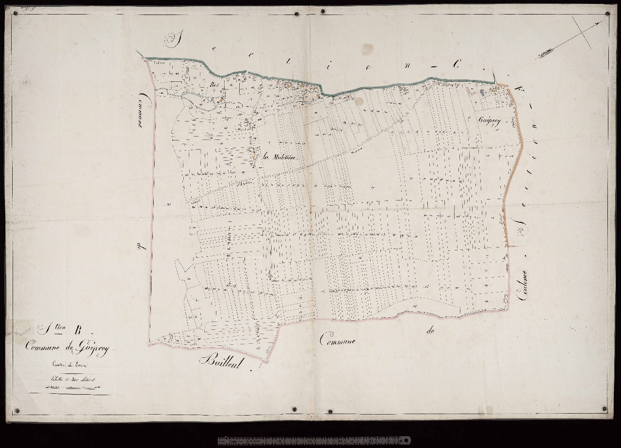 Section B