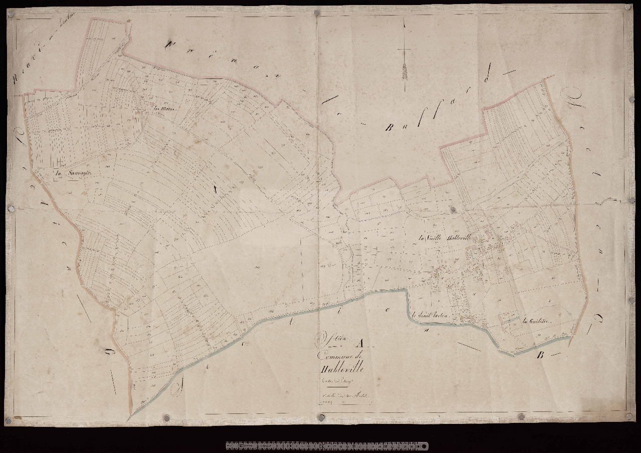 Section A