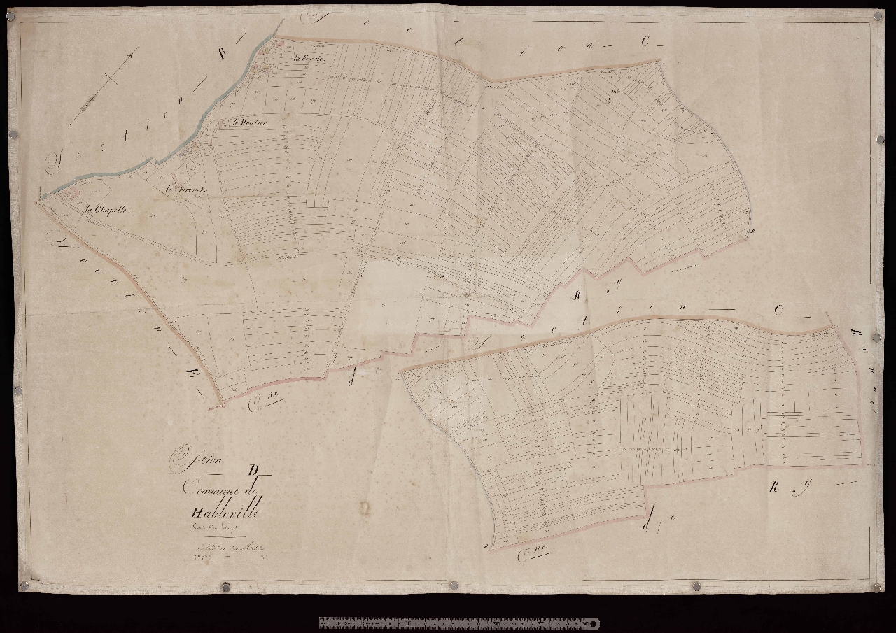 Section D