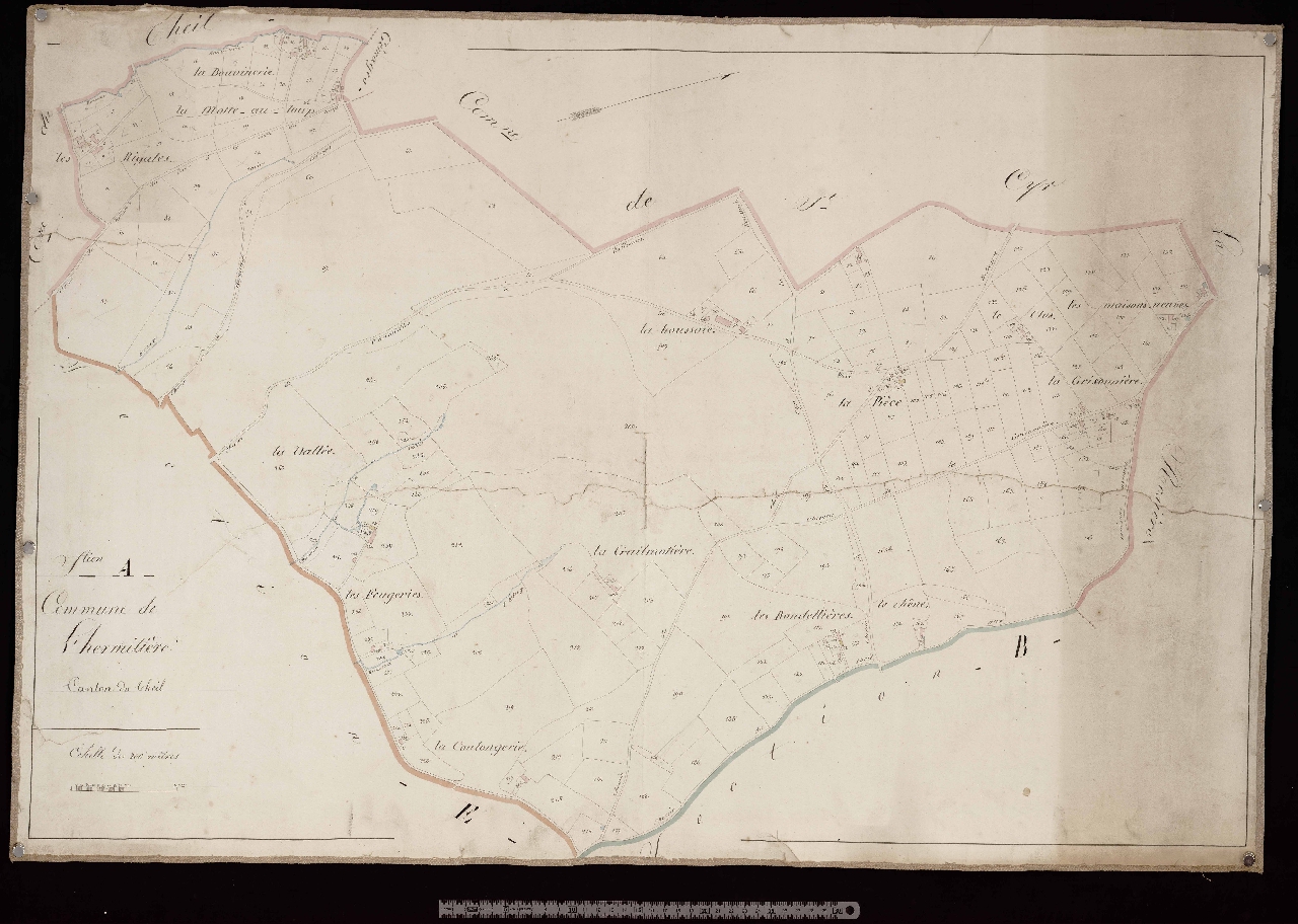 Section A