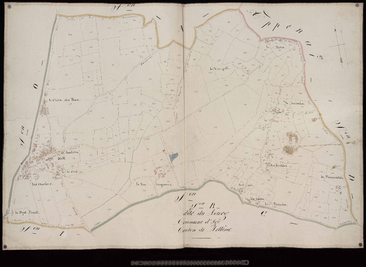 Section B
