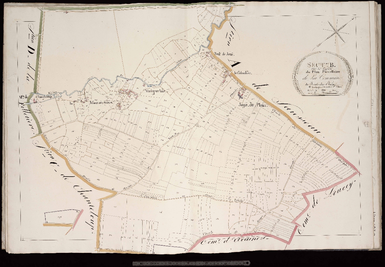 Section B
