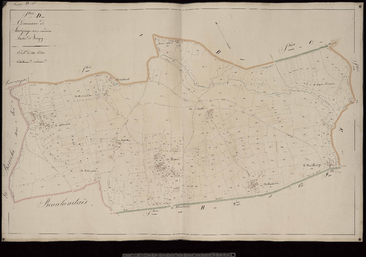 Section D