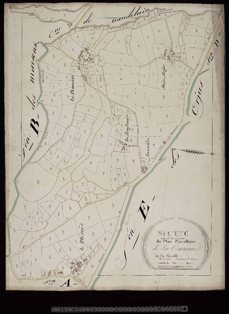 Section C