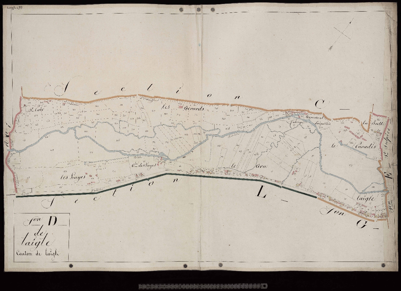 Section D