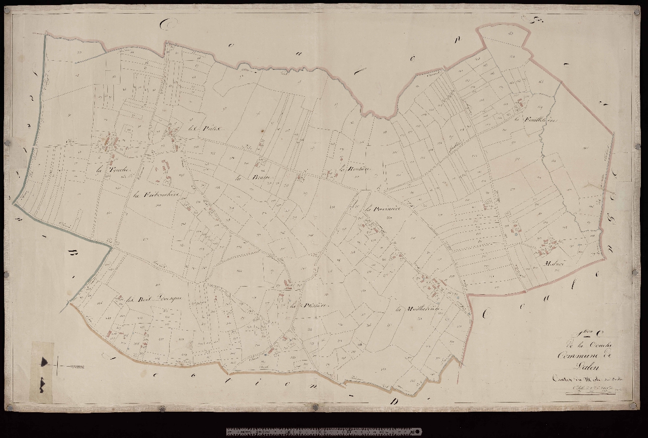 Section C