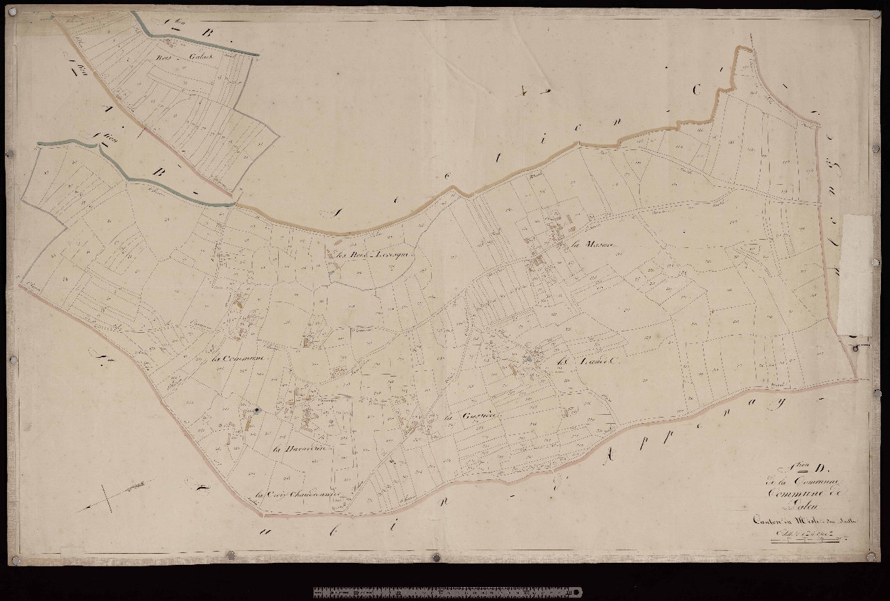 Section D