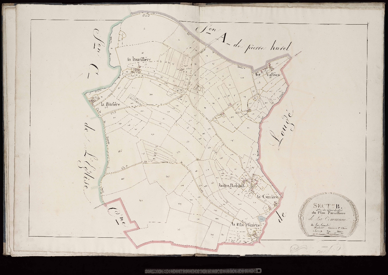 Section B