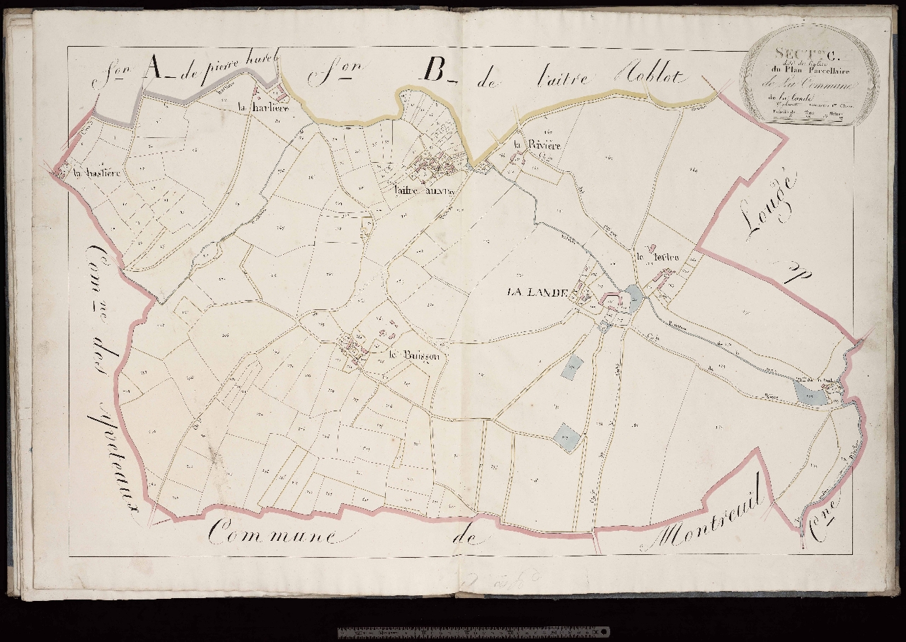 Section C