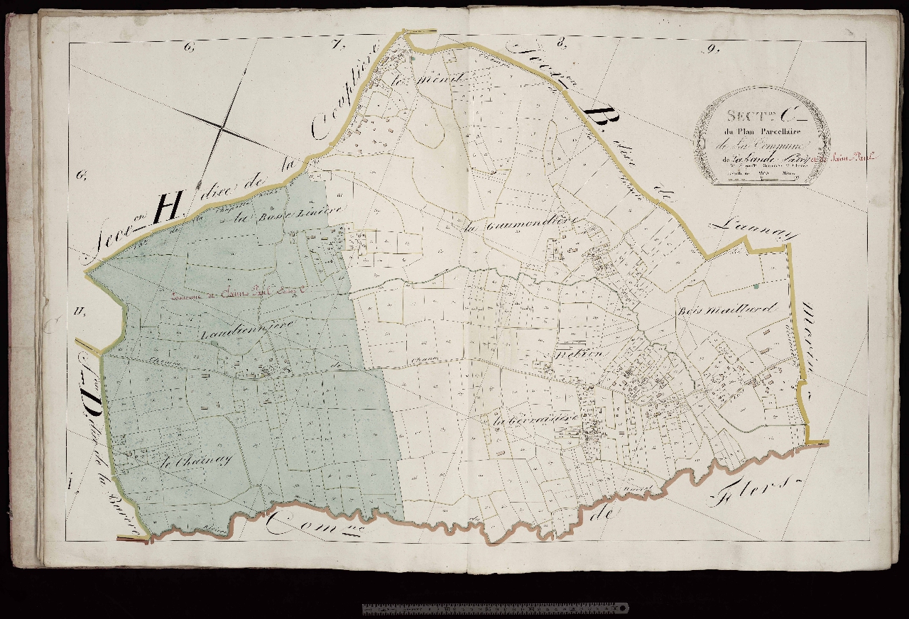 Section C