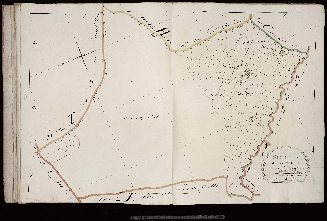 Section D