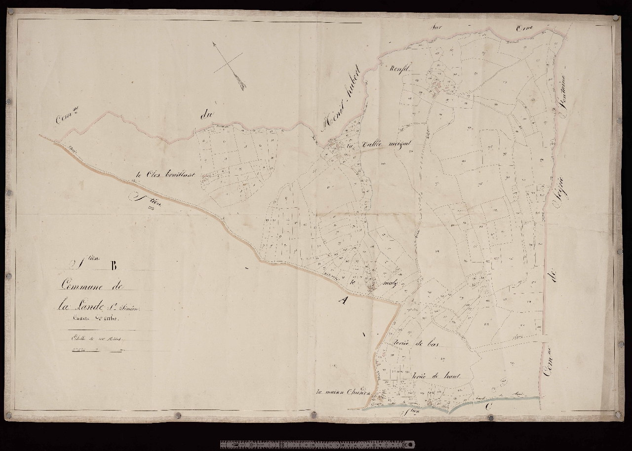 Section B