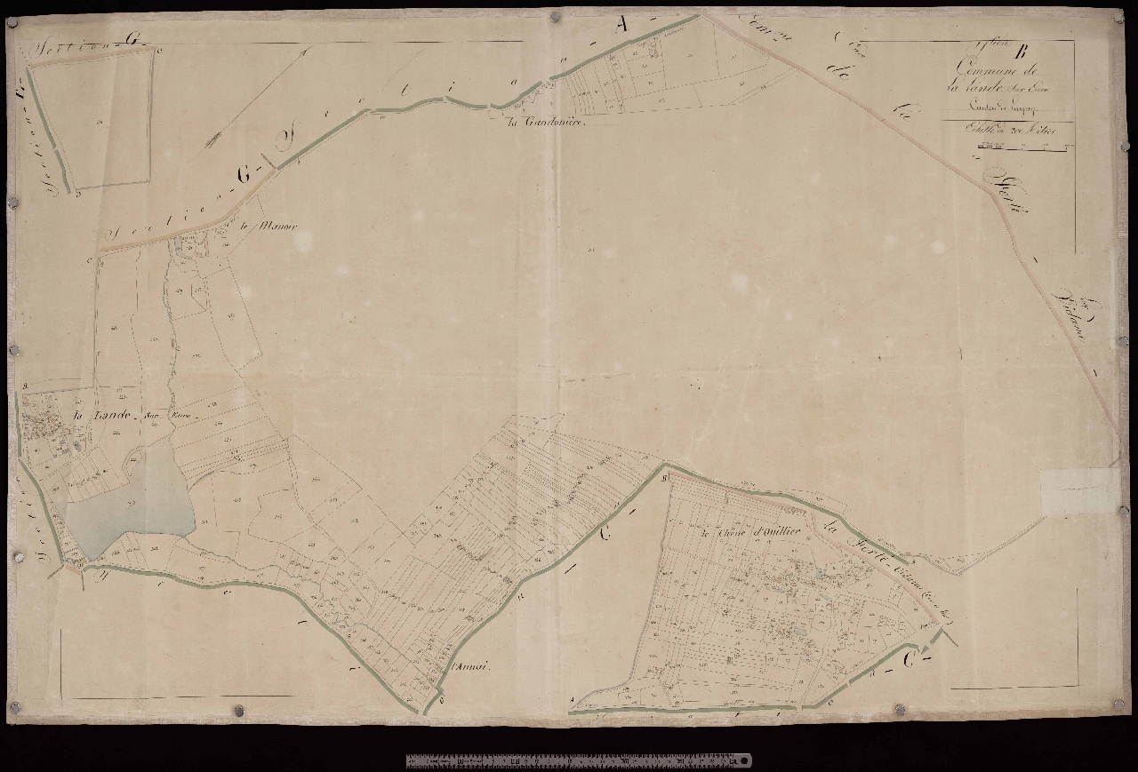 Section B