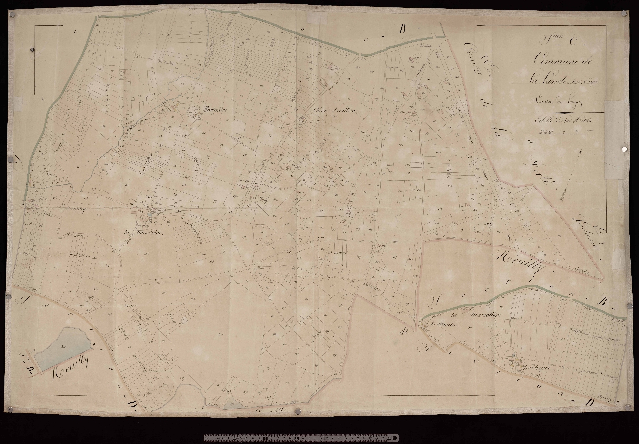 Section C