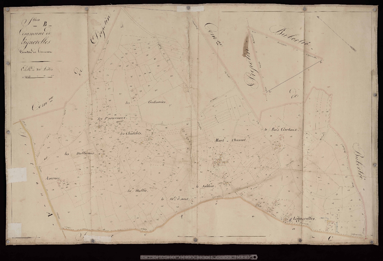 Section B