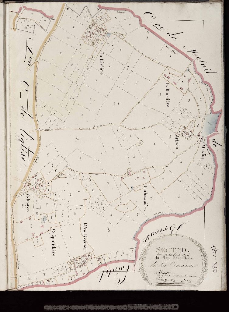 Section D
