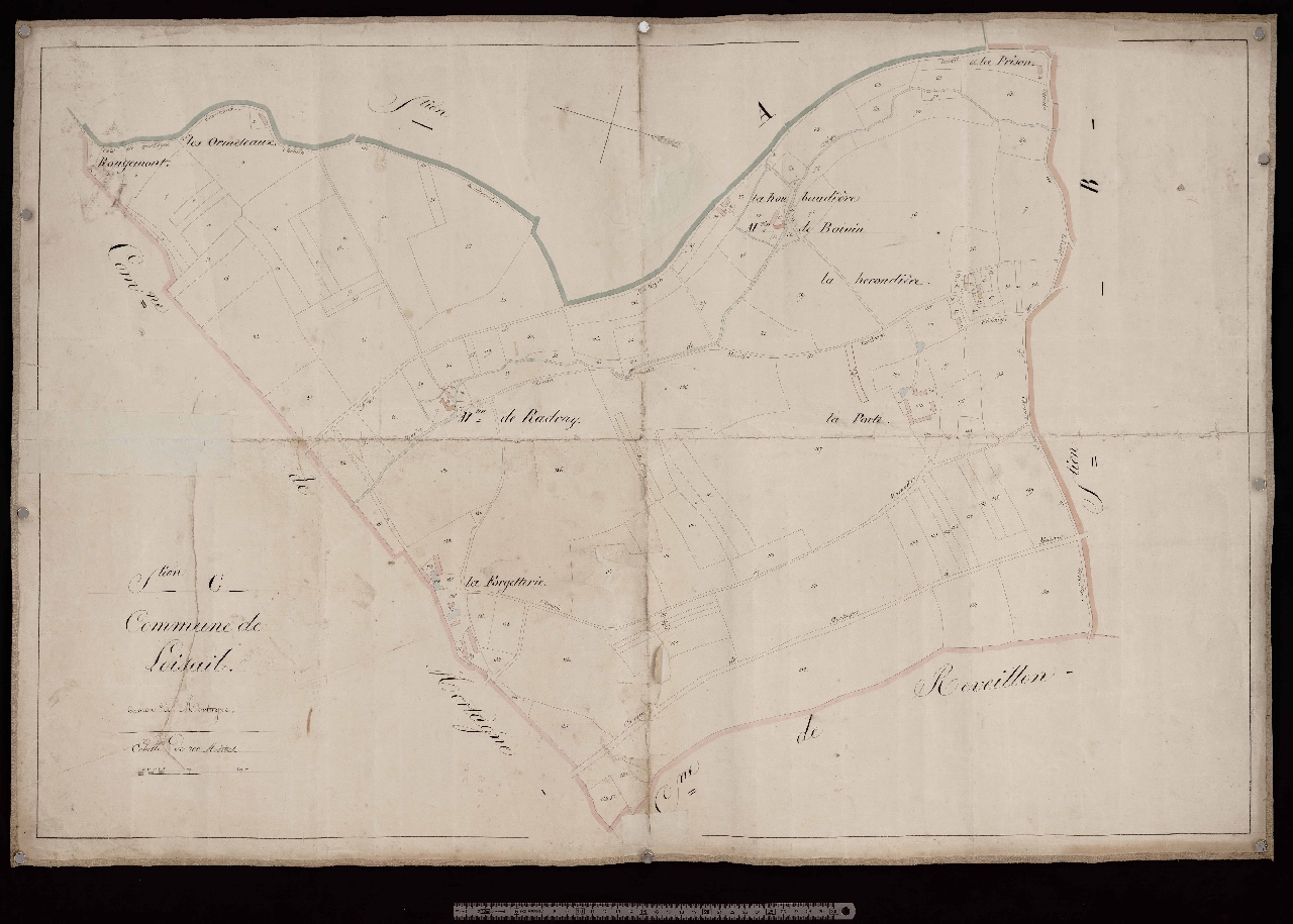 Section C