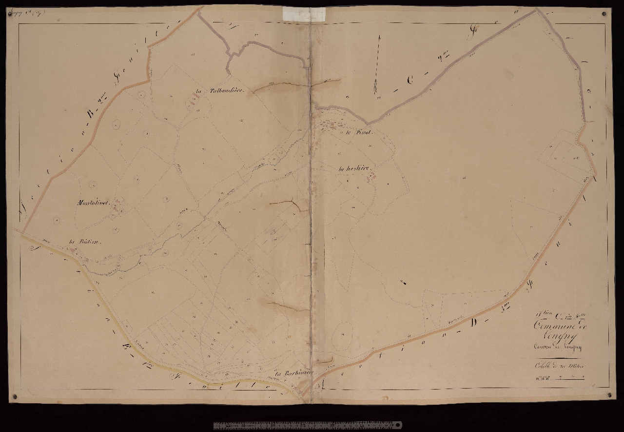 Section C1