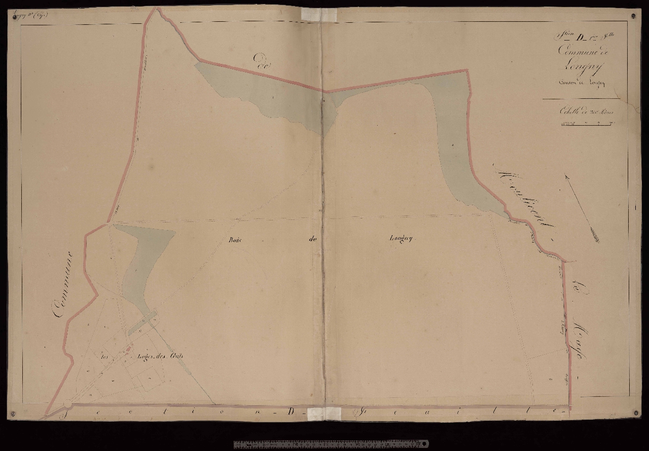 Section D1