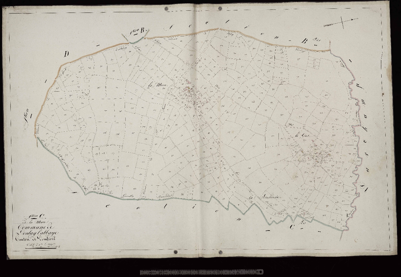 Section C1