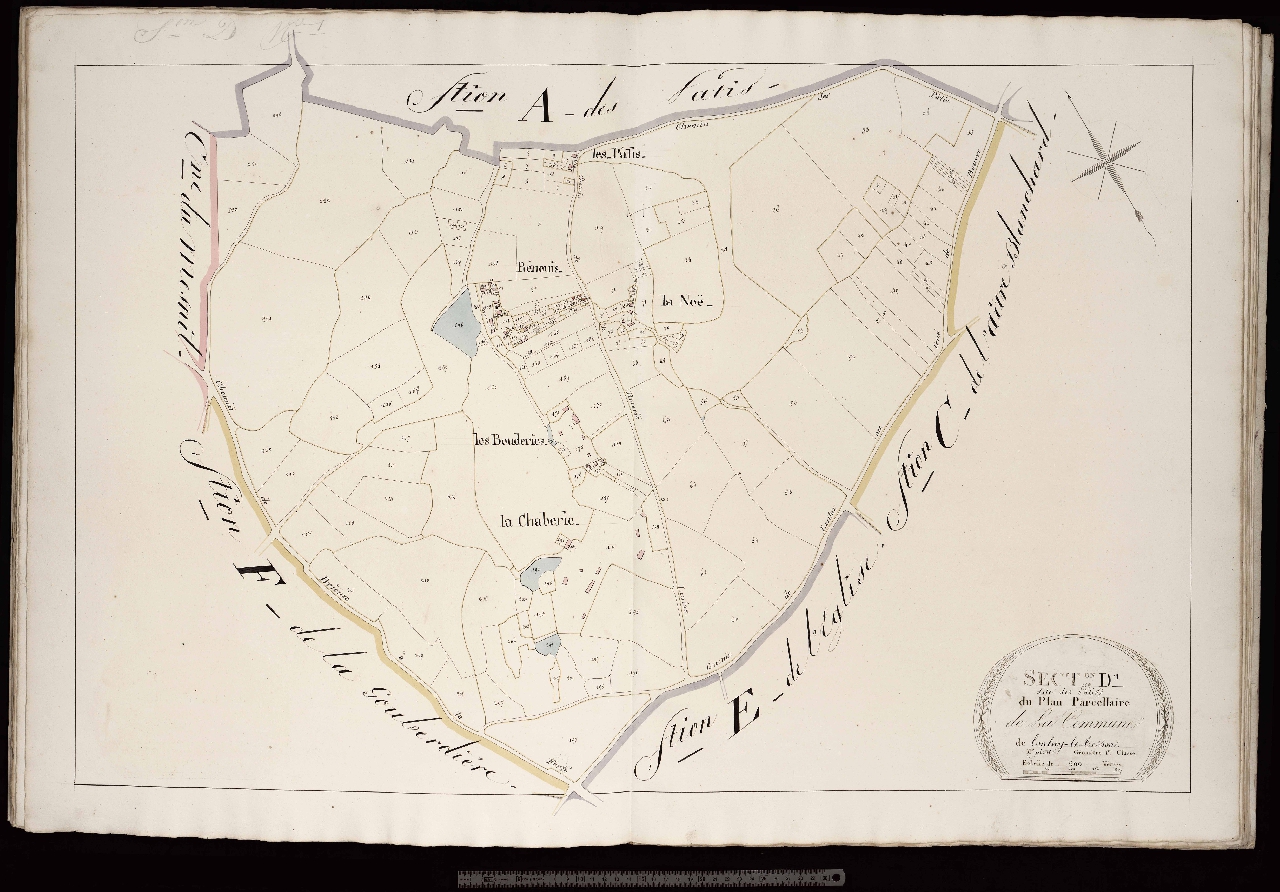 Section D1
