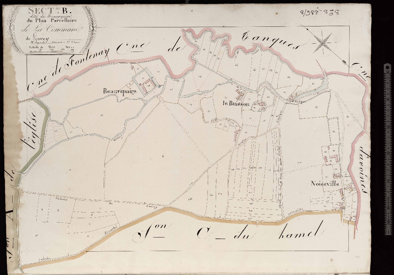Section B