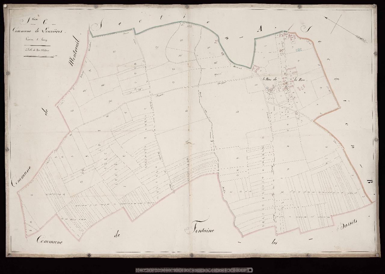 Section C