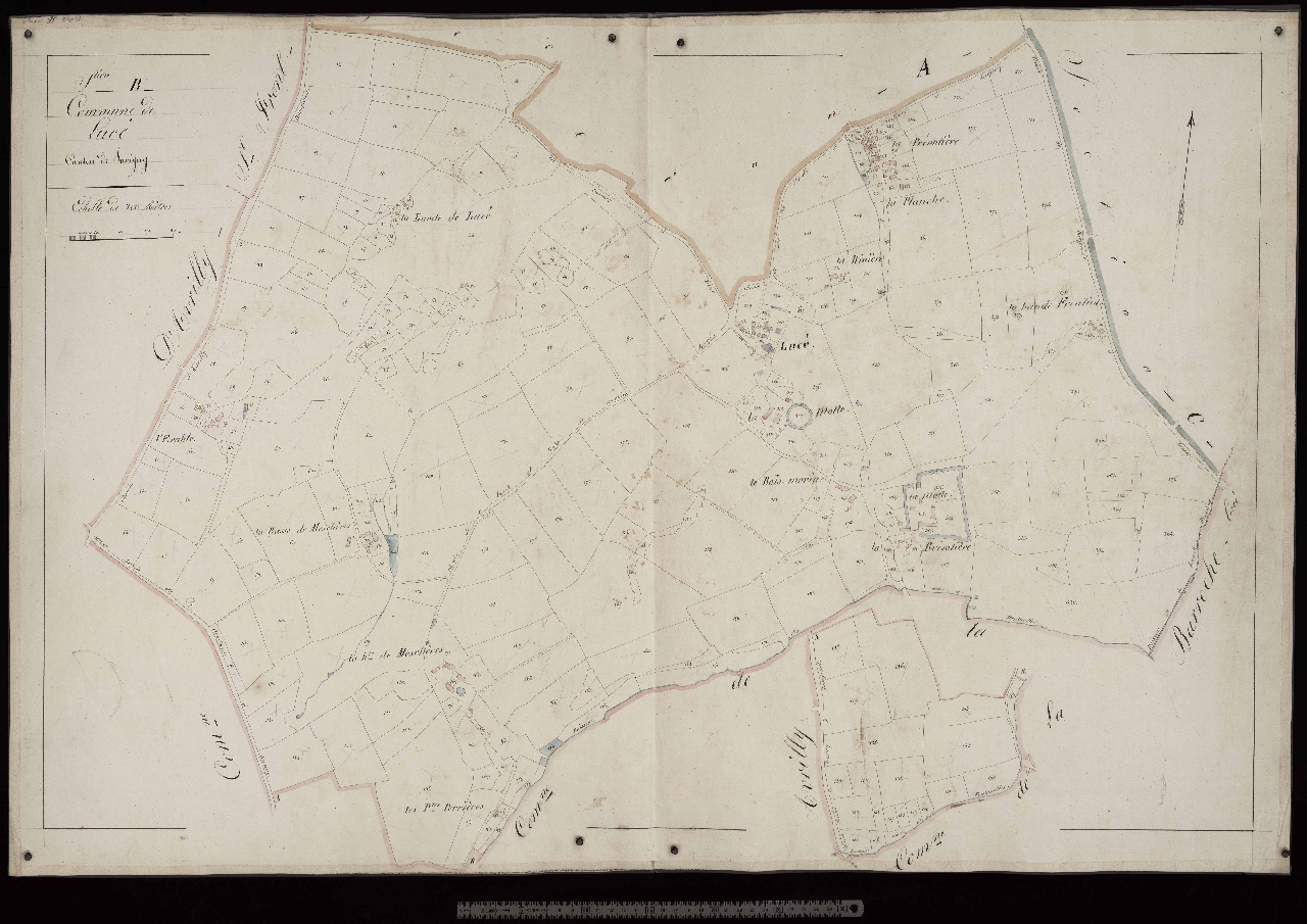 Section B
