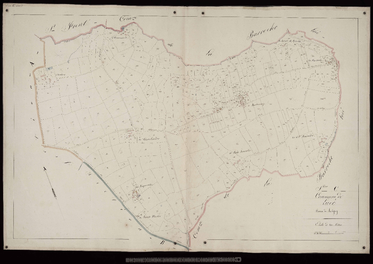 Section C