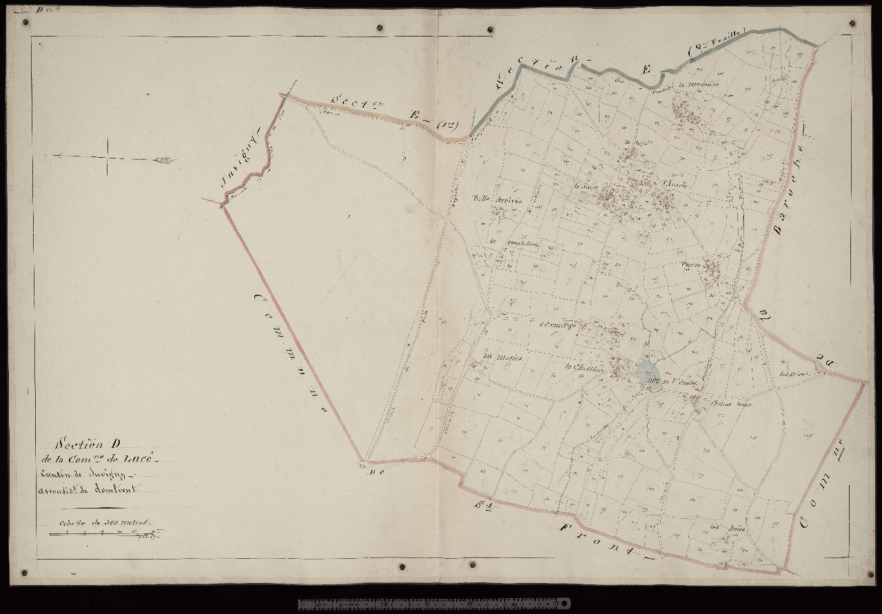 Section D