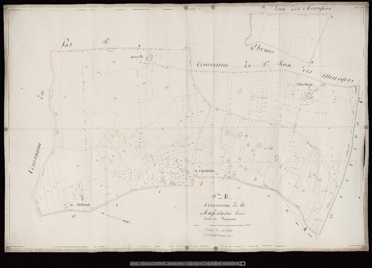 Section B