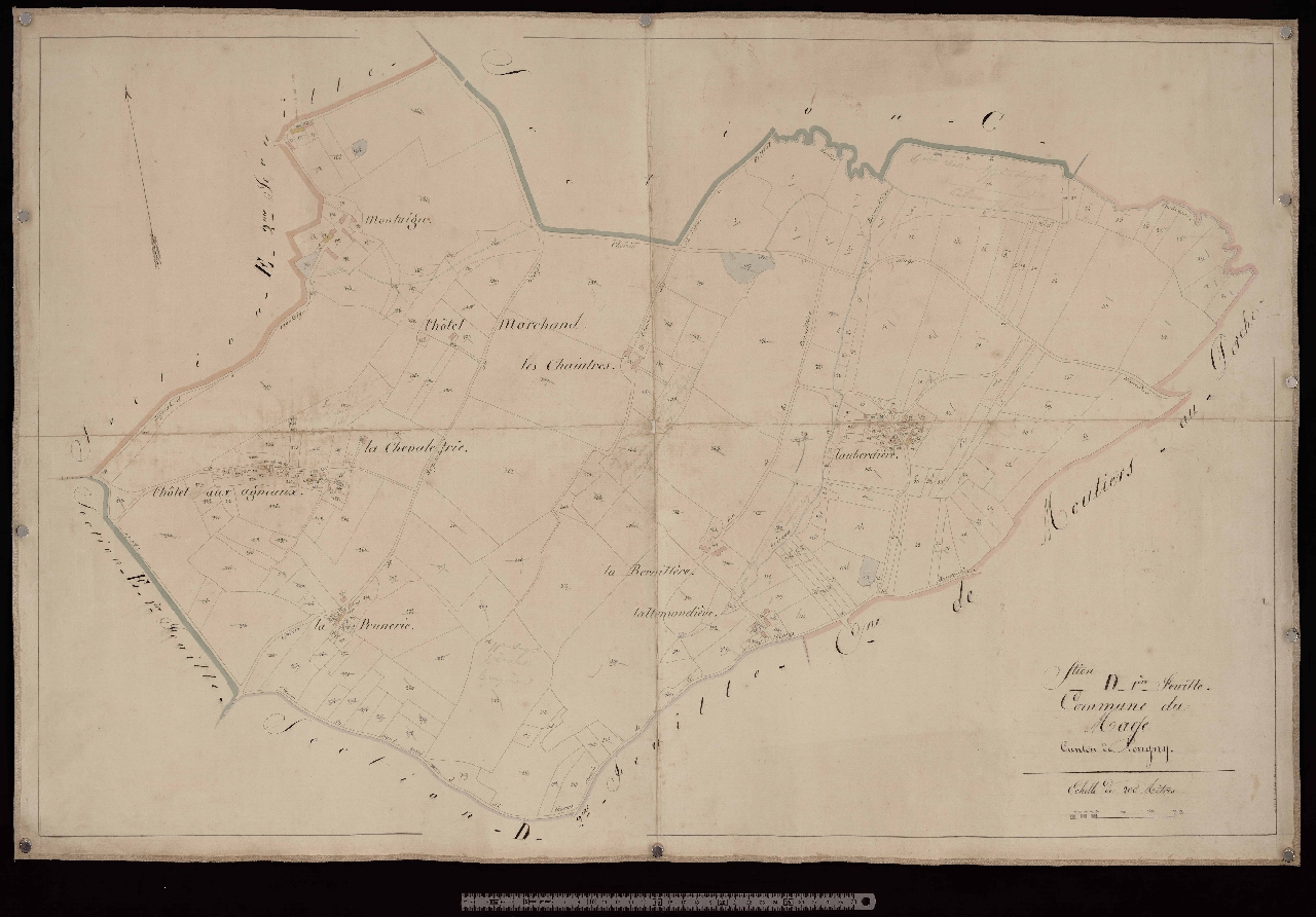 Section D1