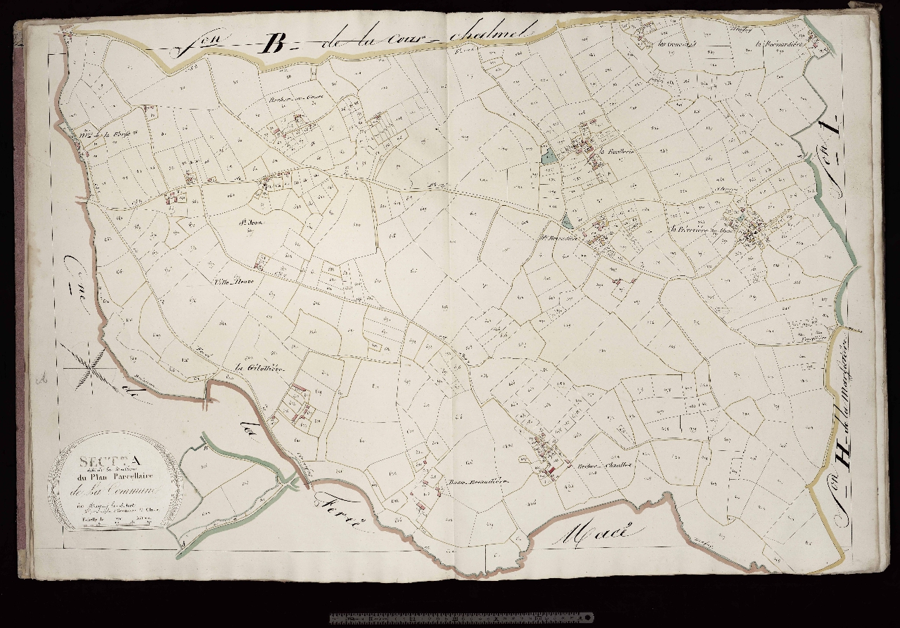 Section A