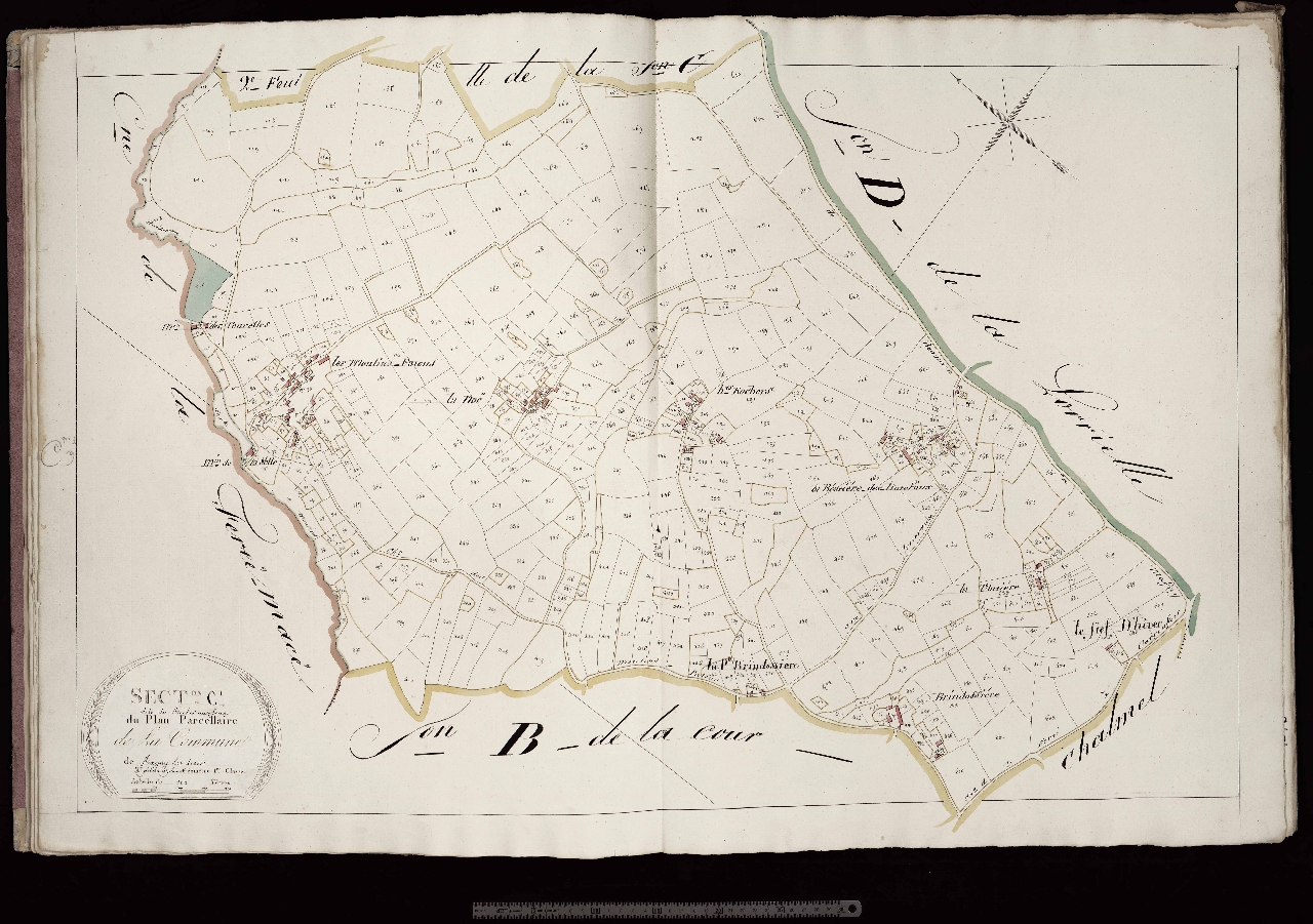 Section C1
