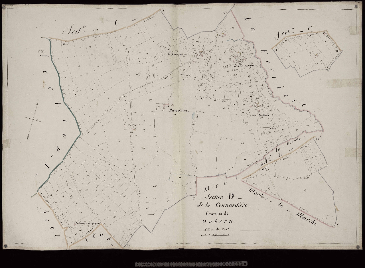 Section D