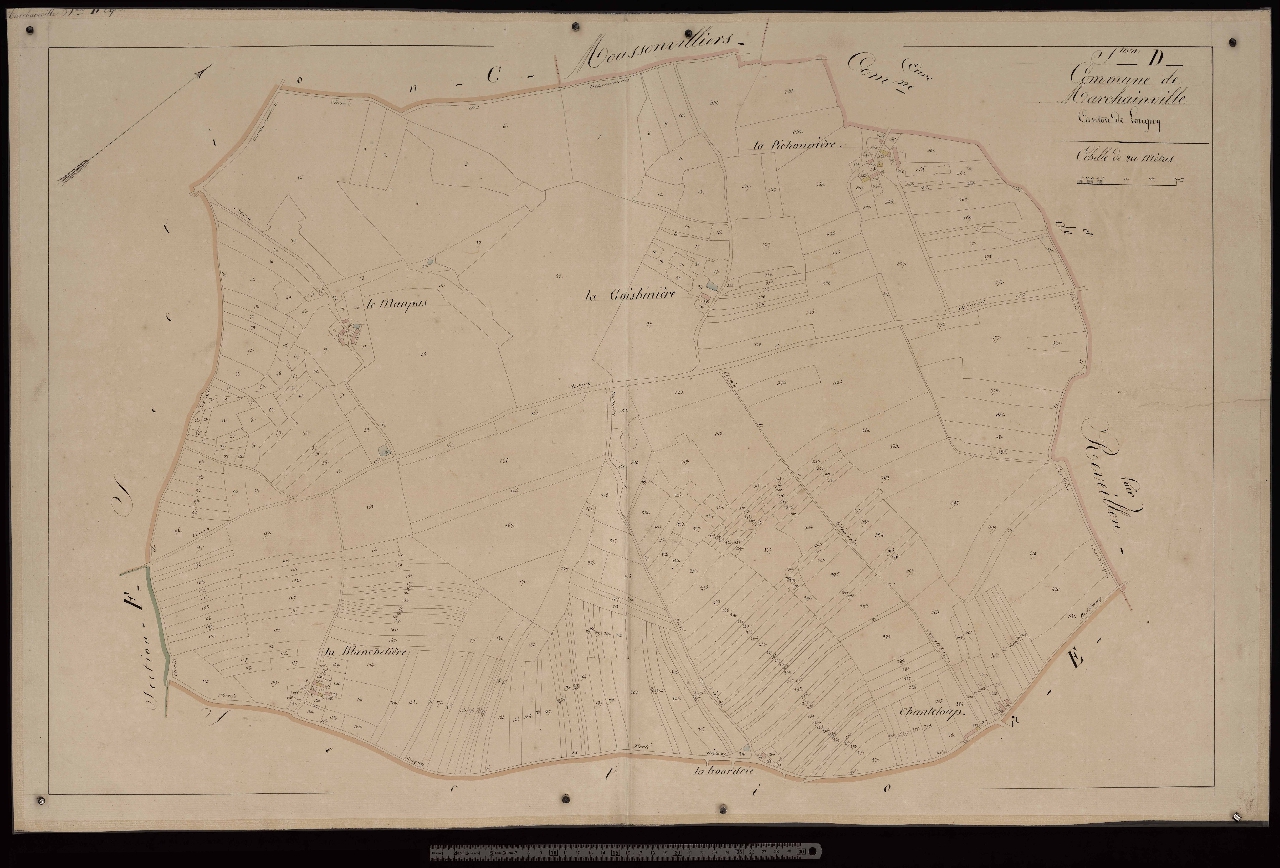 Section D