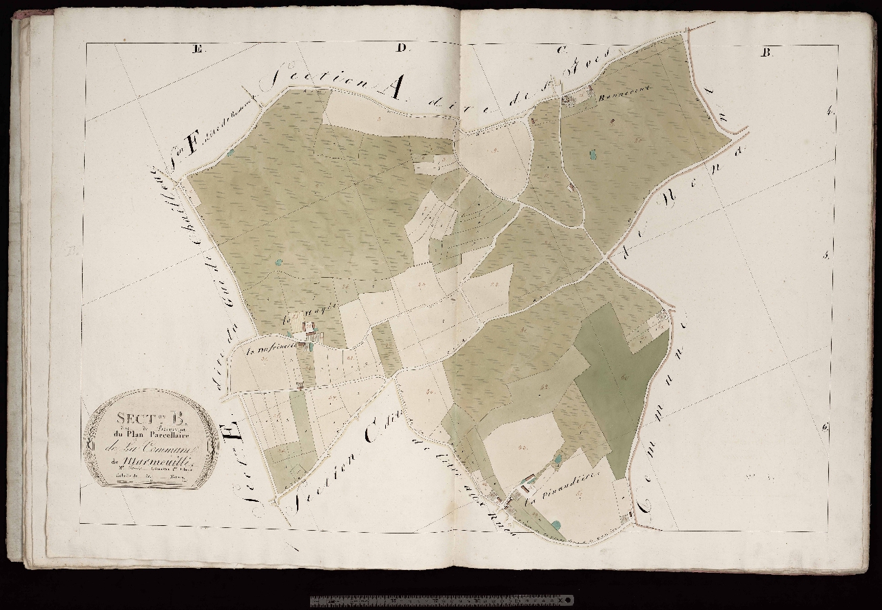 Section B