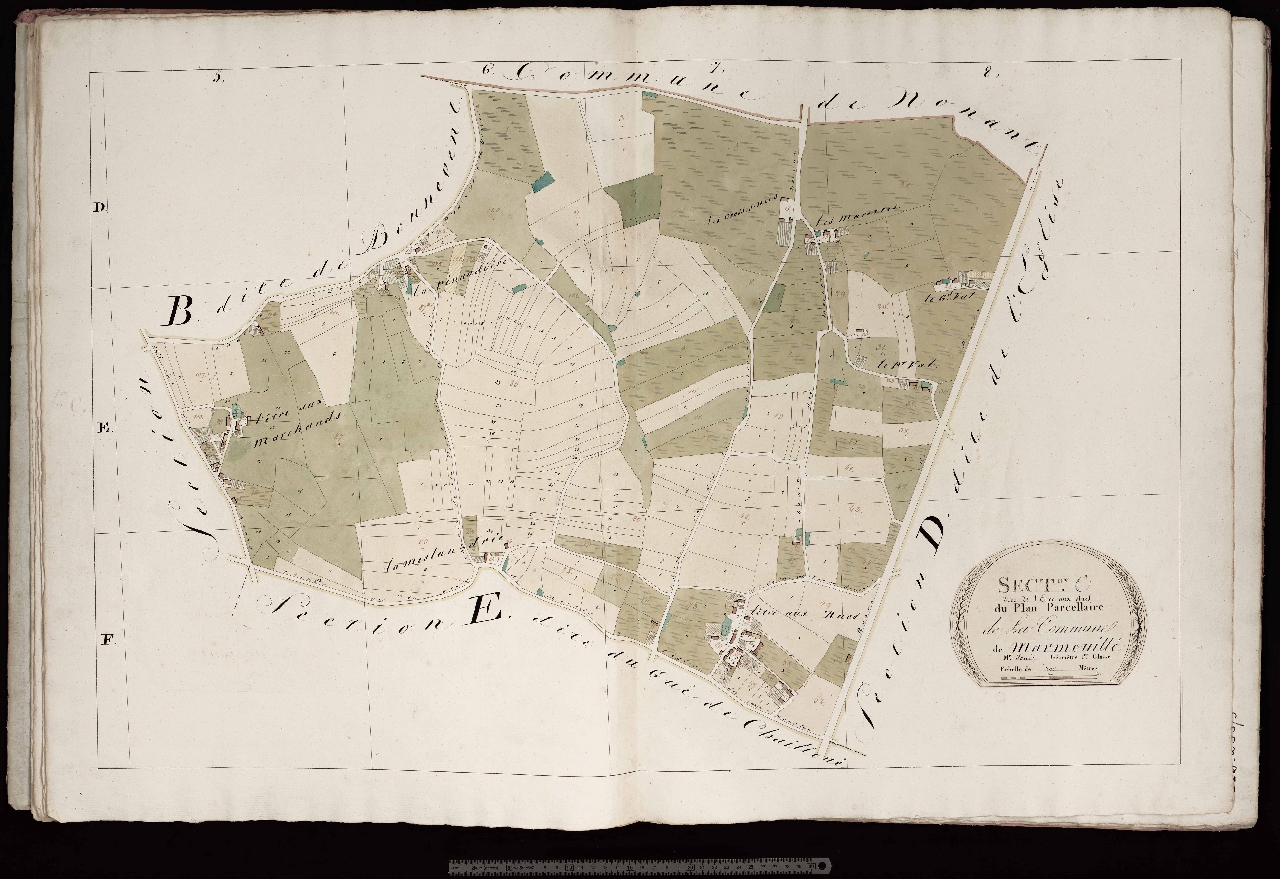 Section C