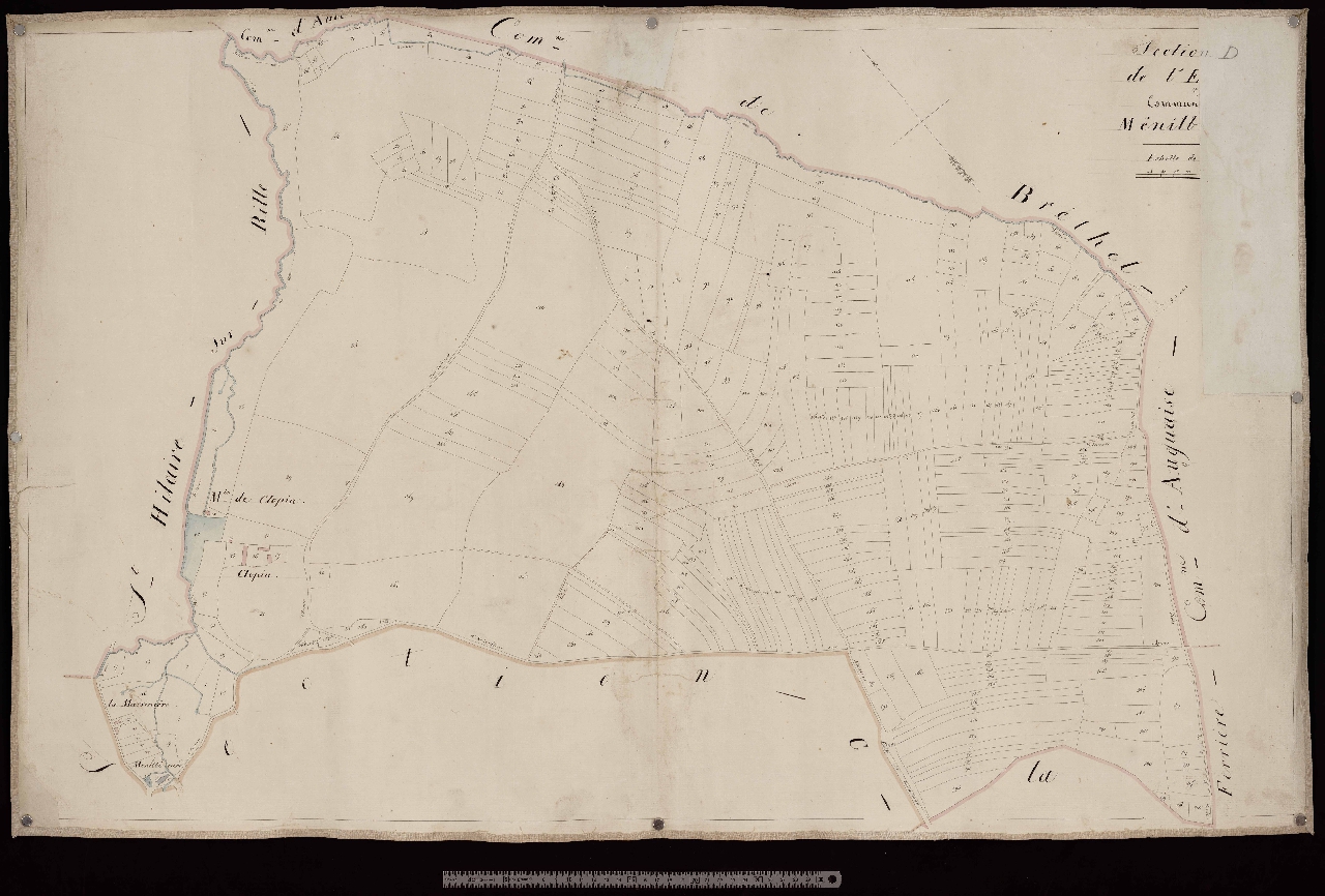 Section D