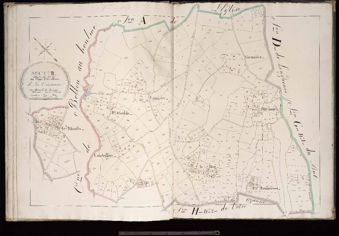 Section B